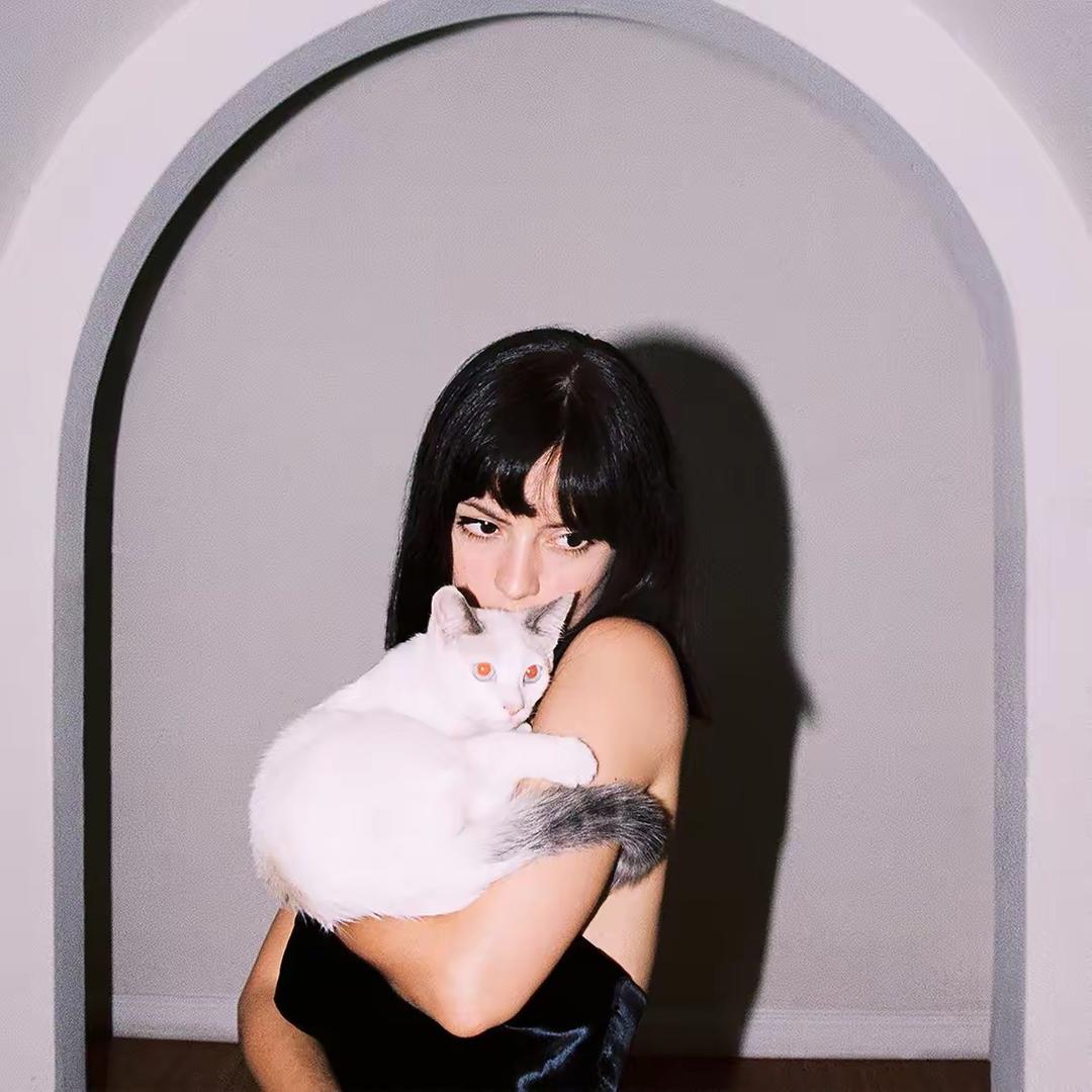 小猪仔