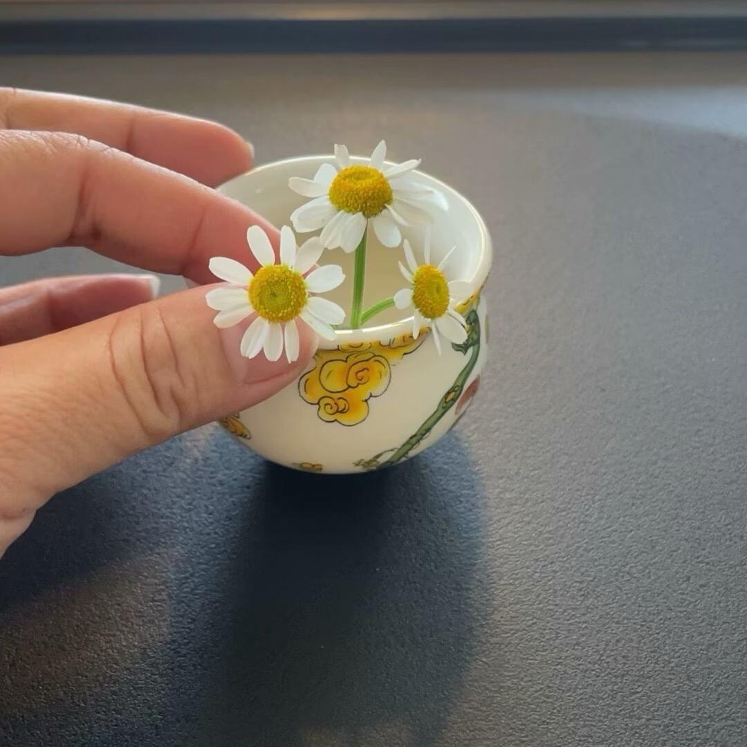 木心🍵