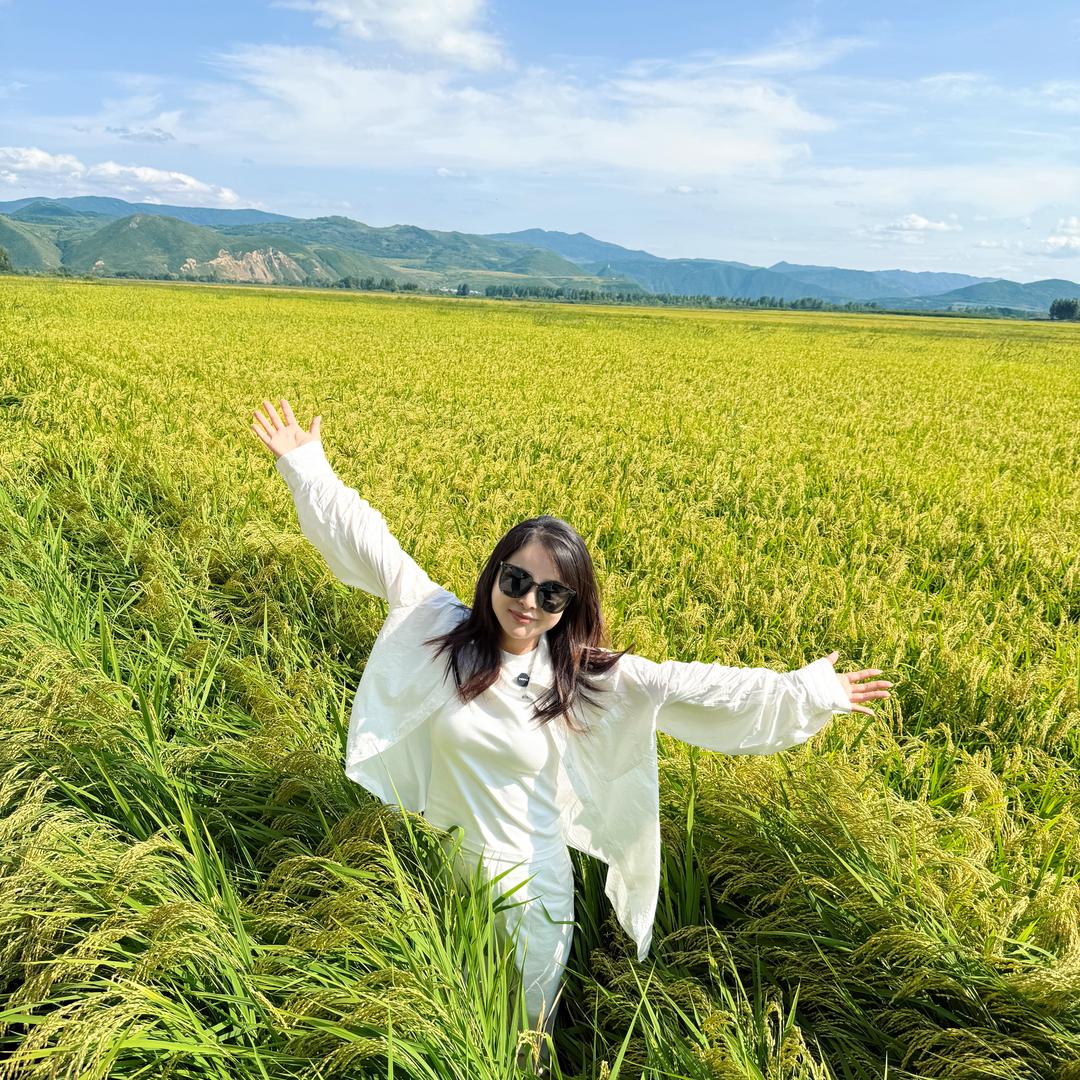 甄小桐🌾