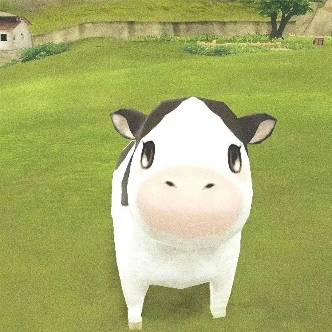 小张爱自由