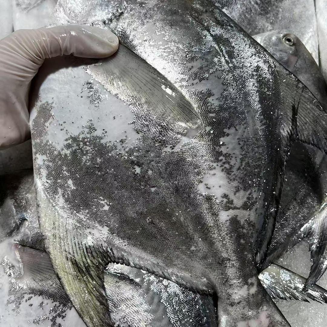 志鑫水产（啊山）