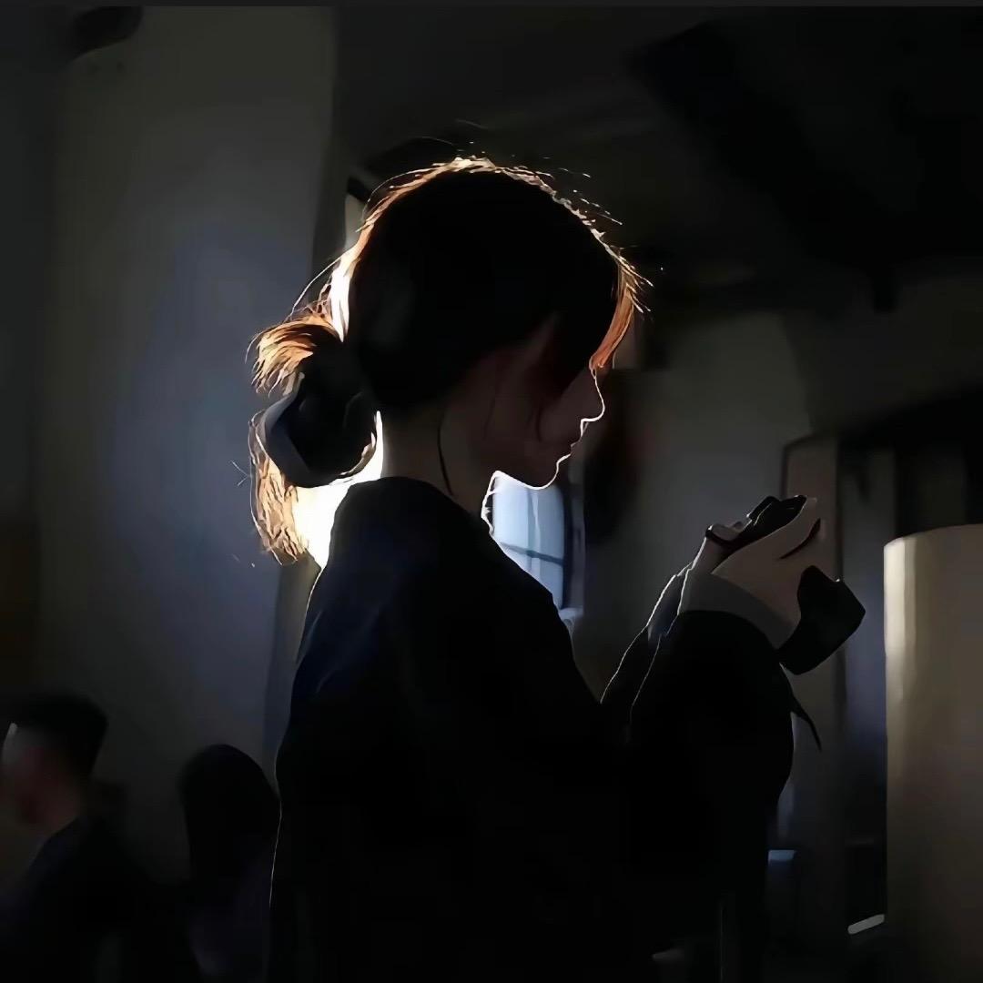 番茄炖了西红柿