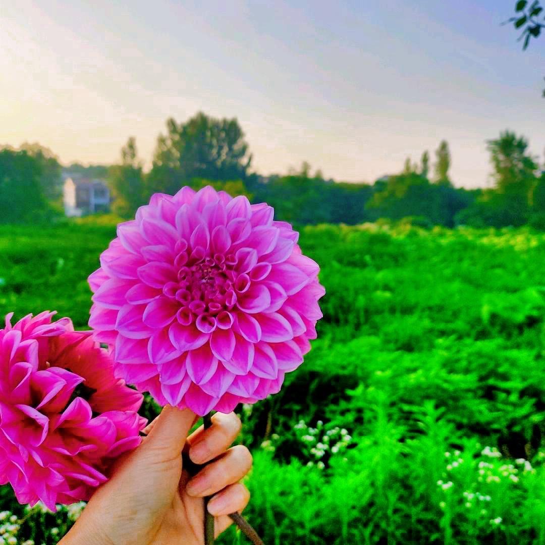 💞༊小柠檬꧔ꦿ᭄💞