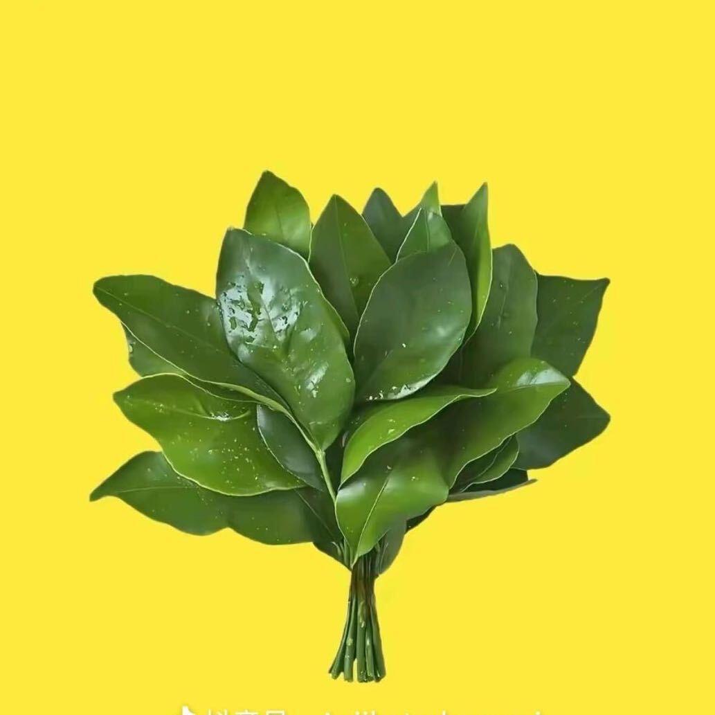 木木🙃