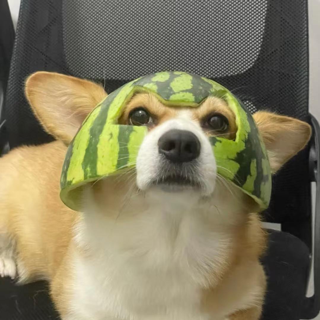 大西瓜