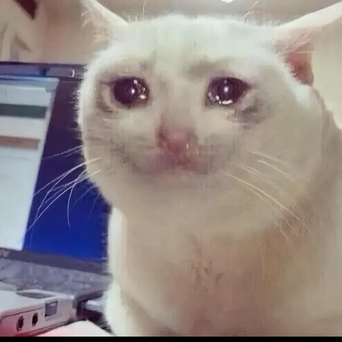 憋屁一年了