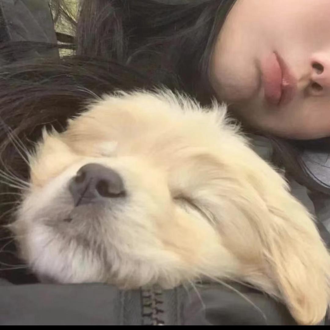 休眠.💤
