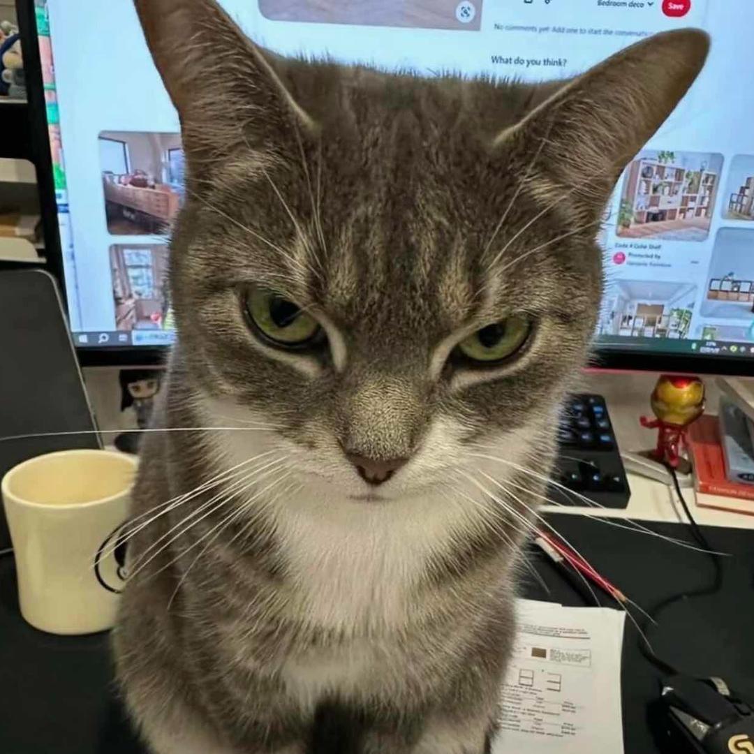 邯郸酒吧ktv小猪🐷