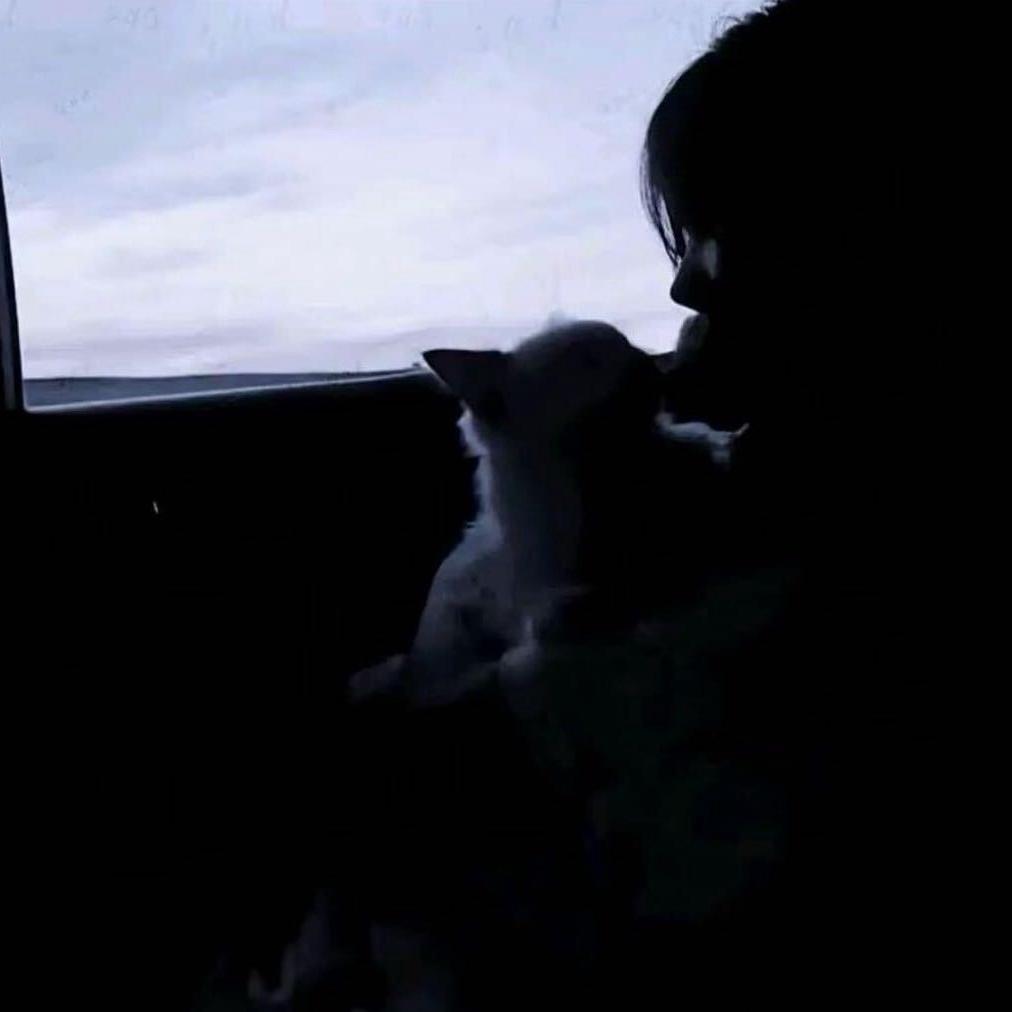 尸体