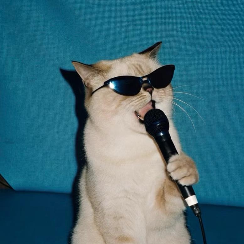 小白（丢拨片版）🎸