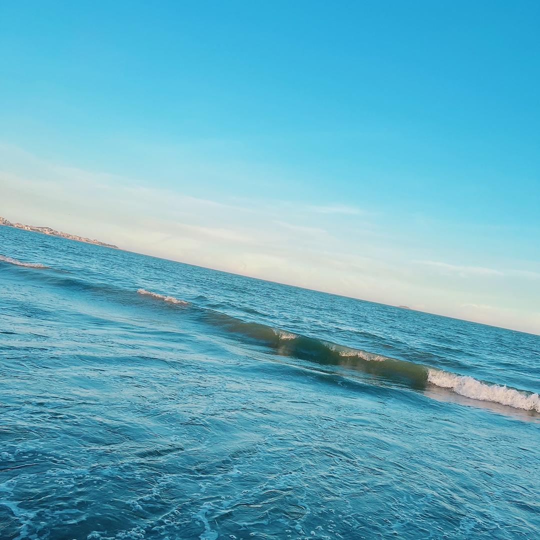 晨晨商行（来）