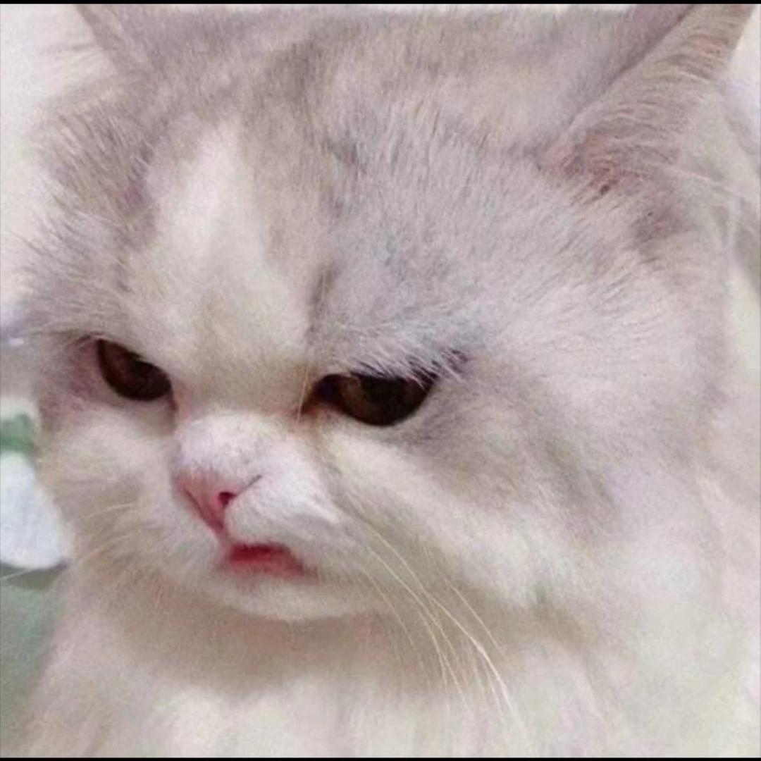 hl
