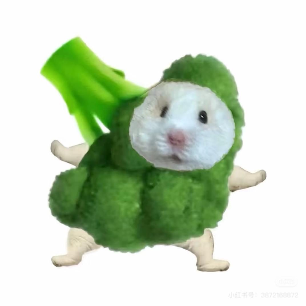 椿天🍀