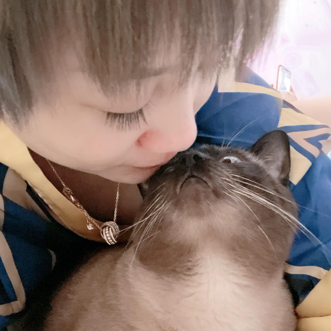 你若懂我，该有多好