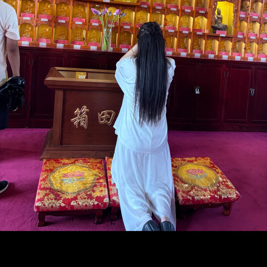 🪷阳