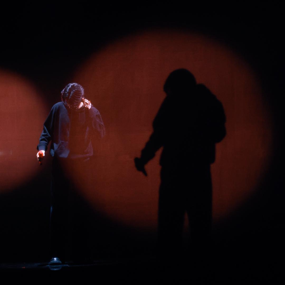 芜湖湖（天天重生版）