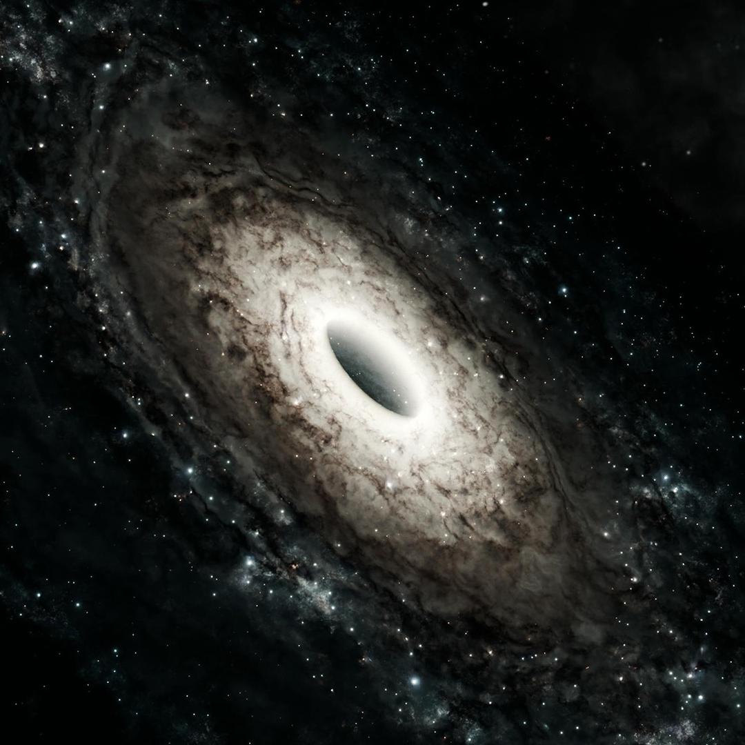 凌晨四点海棠花未眠