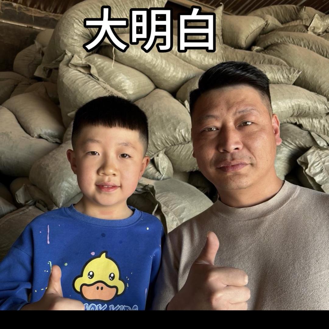 生物质颗粒【大明白】