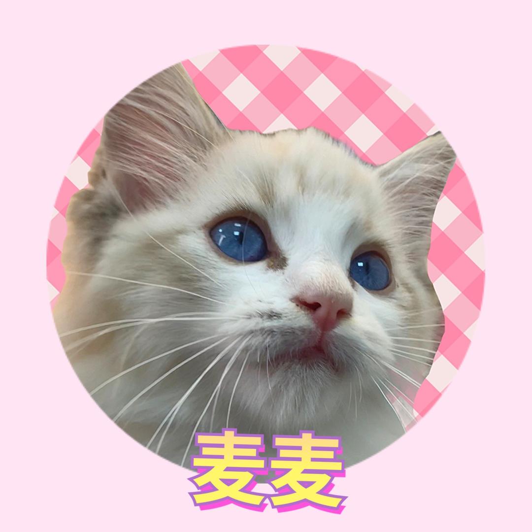 卓瑞微