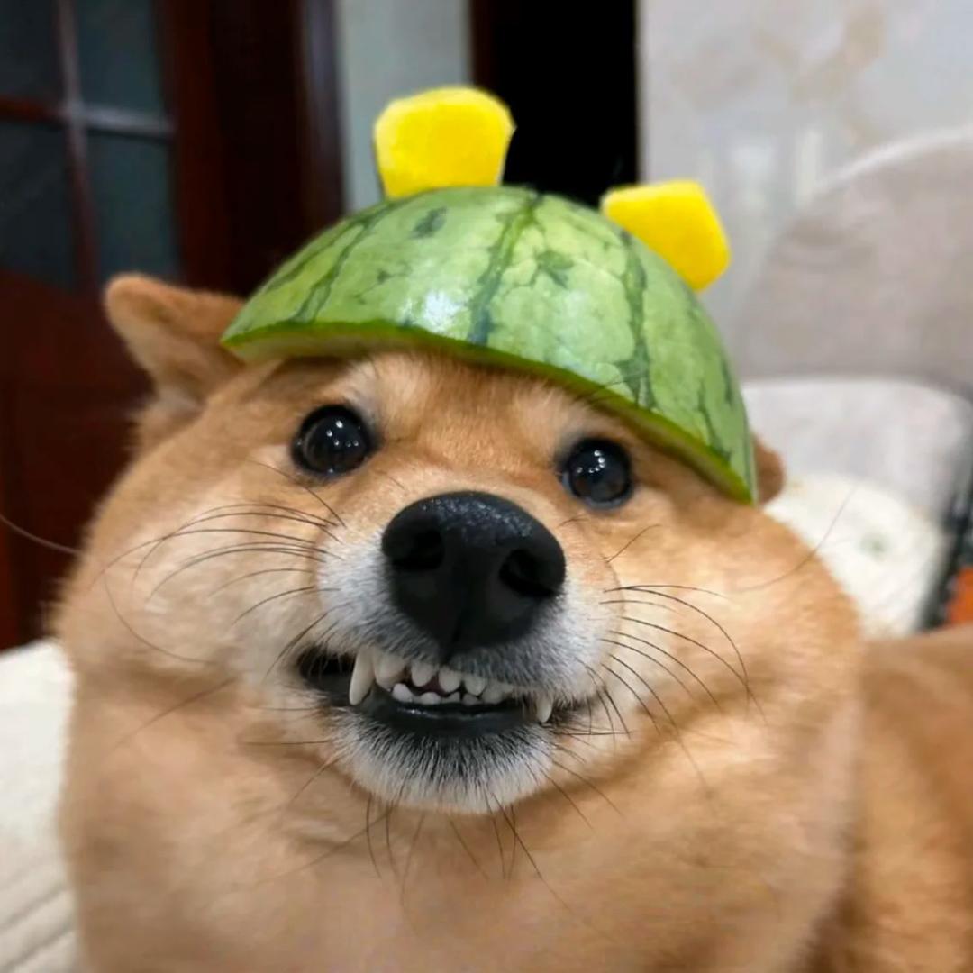 有湘来信