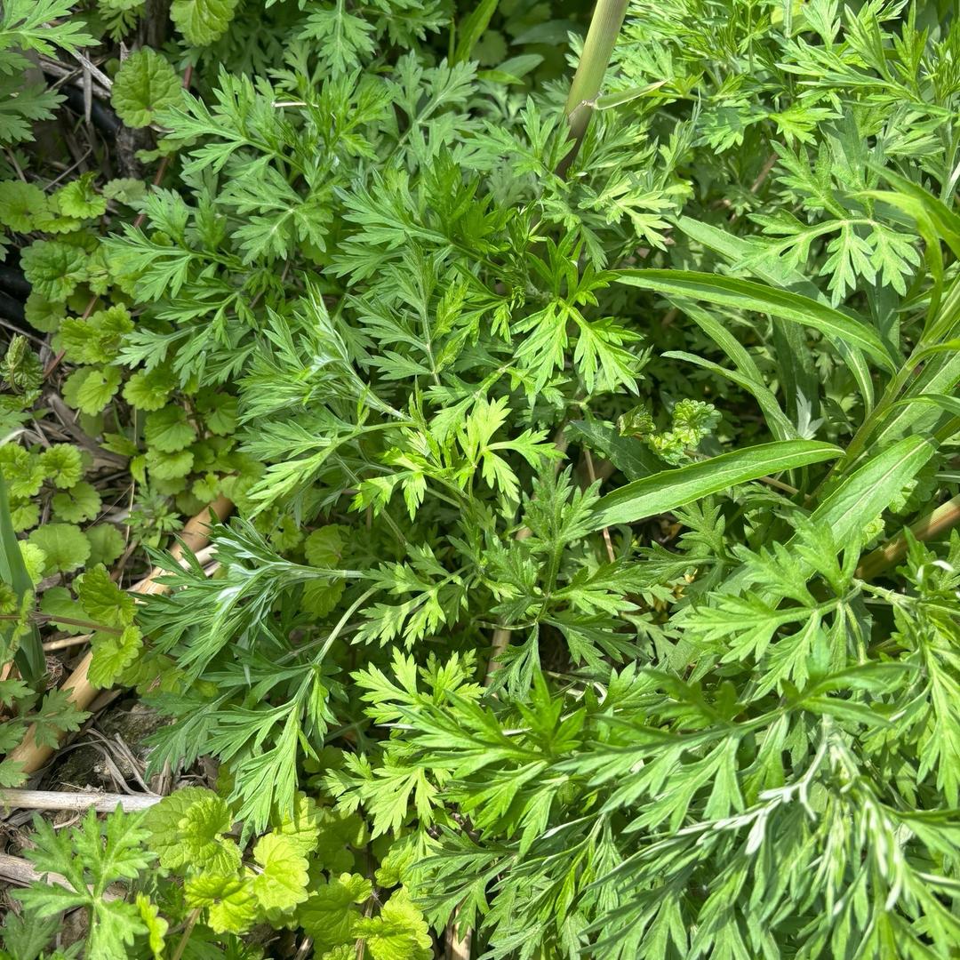 美丽123