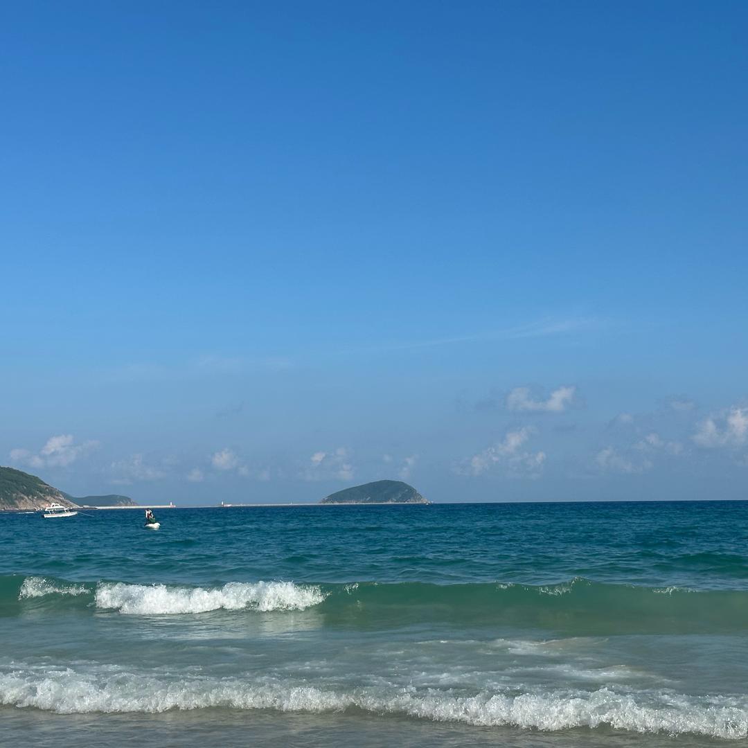 门前大桥下游过一群鸭