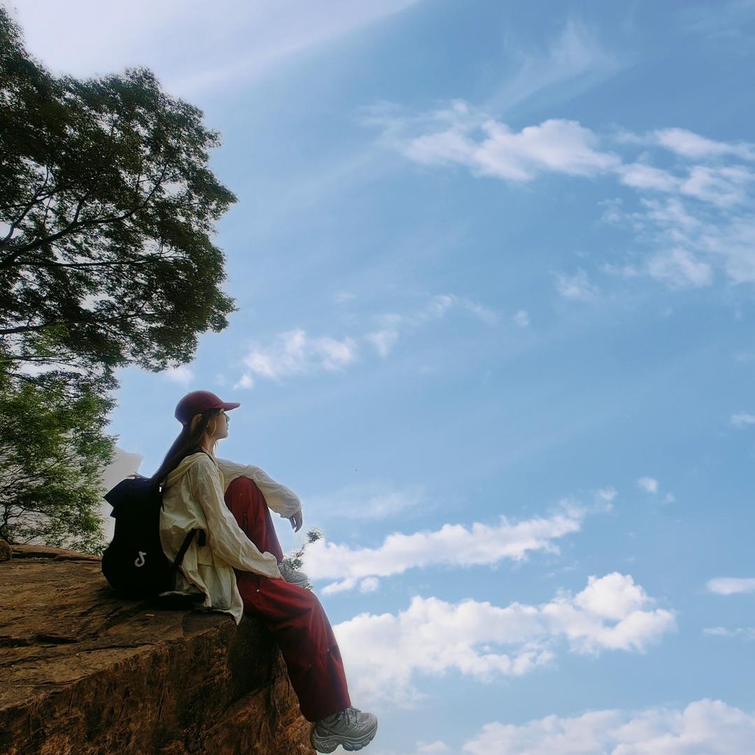 是祝不是朱竹诸猪🍊