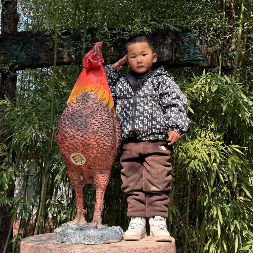 一生安然英姐（张一帆的奶奶）