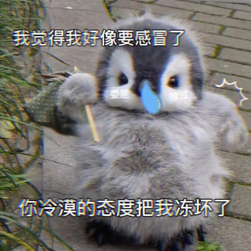 偶尔芥末帅