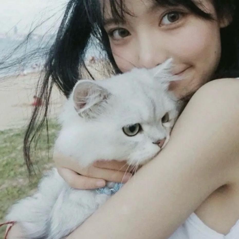 皮蛋solo粥