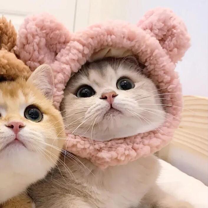 宜达怡