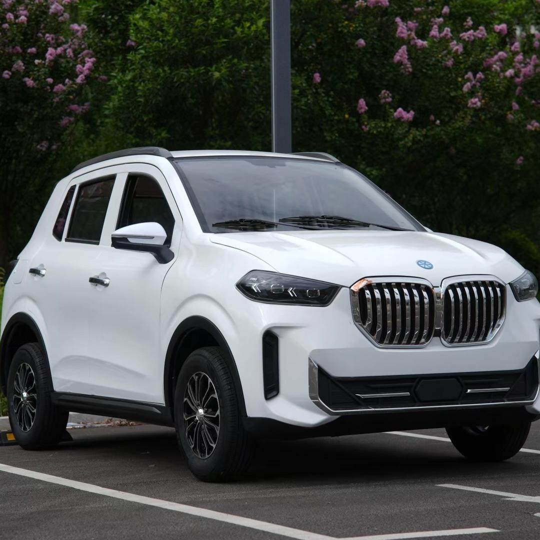 琳琳新能源低速四轮代步车