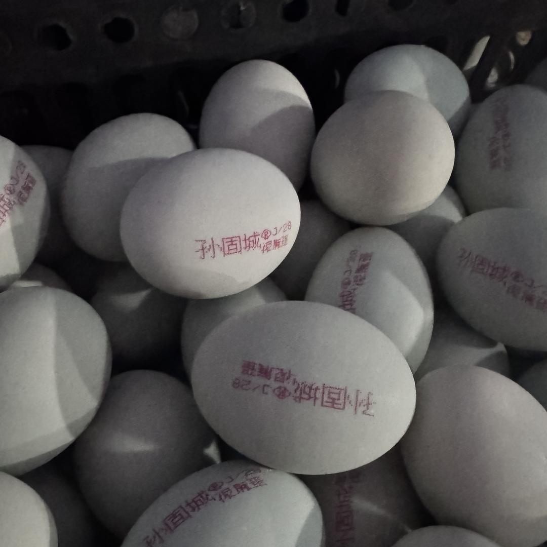 濮阳龙丹食品有限公司