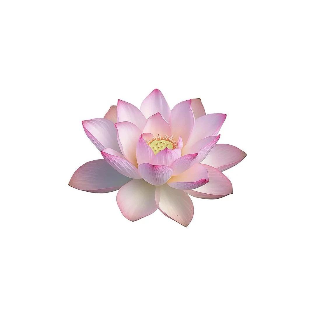 翻斗花园小美