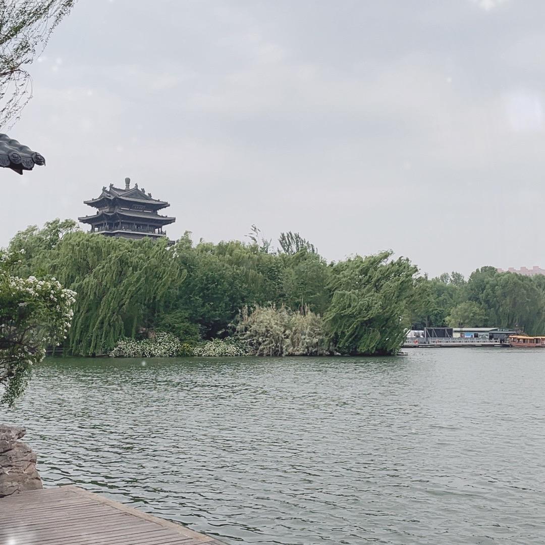 陌念