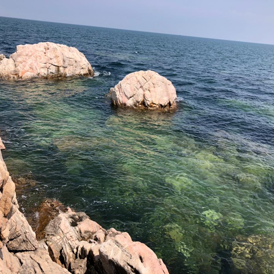 海椰子