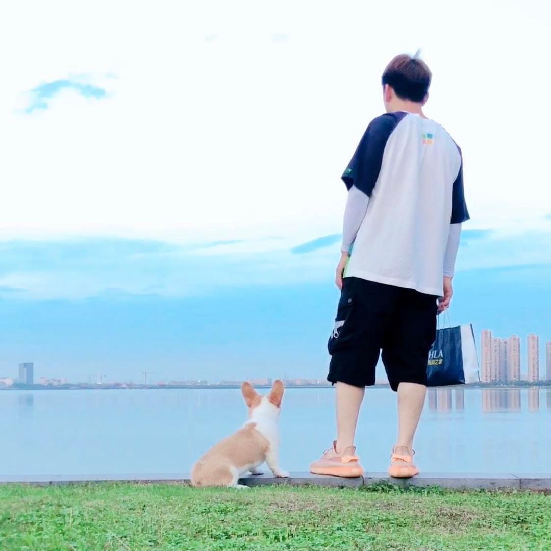 宠而优狗狗上学训练营@抖音