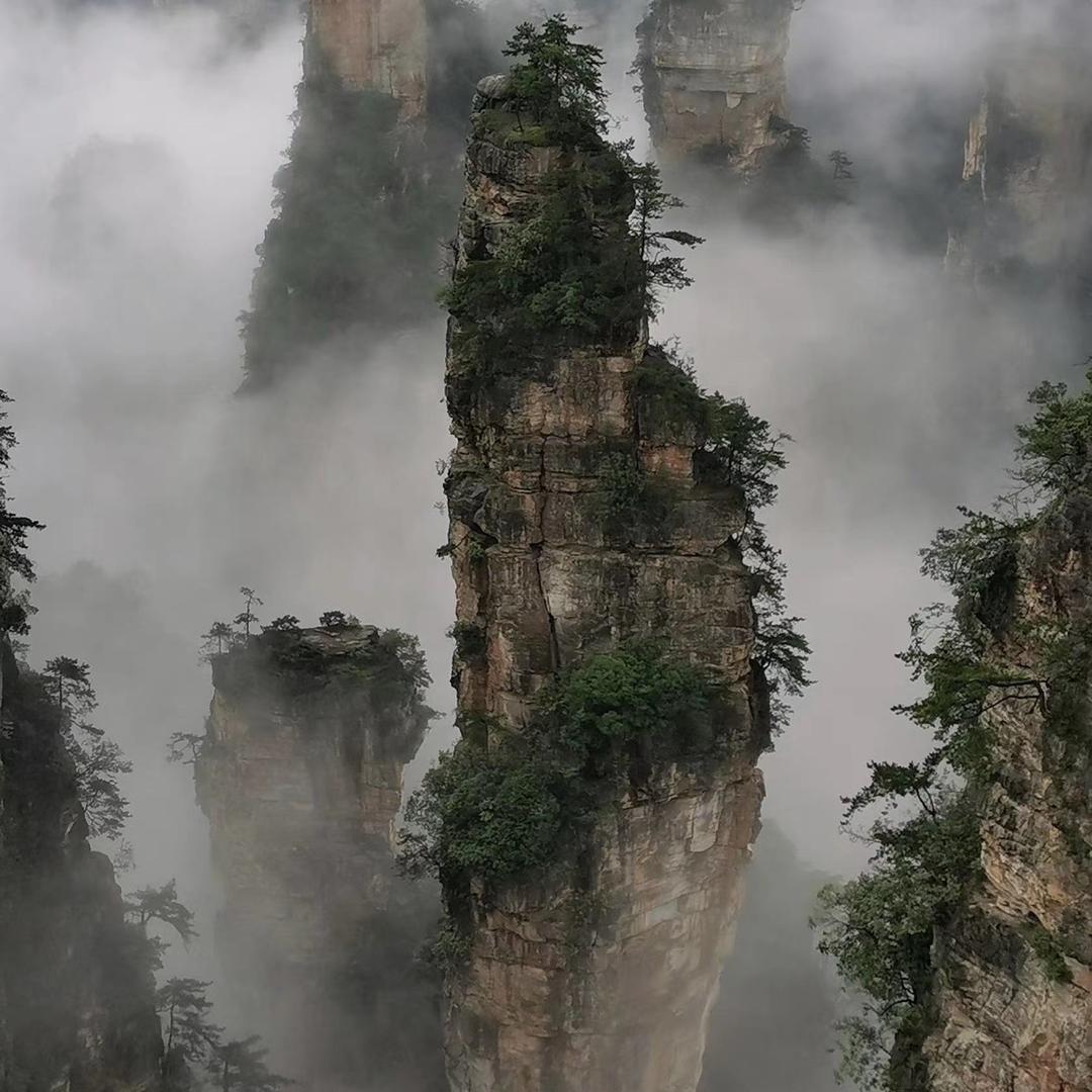 张家界毛哥