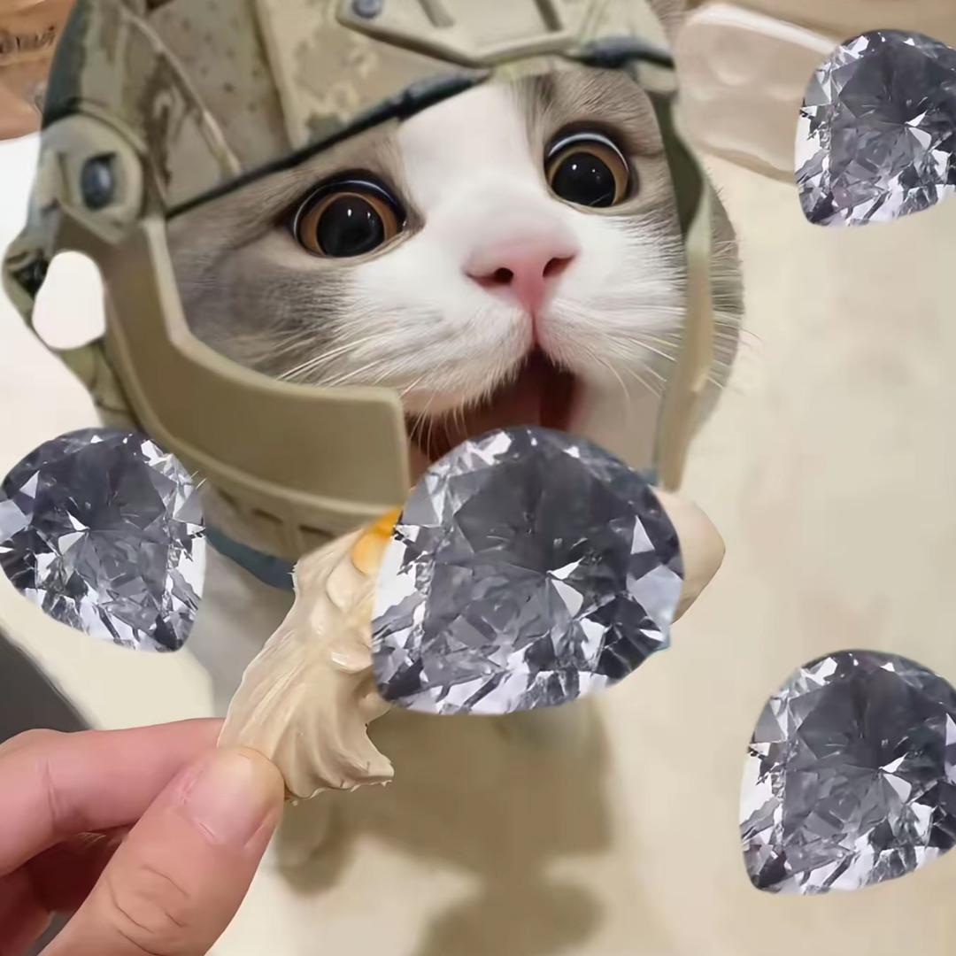 晚风（三角洲速摸流）