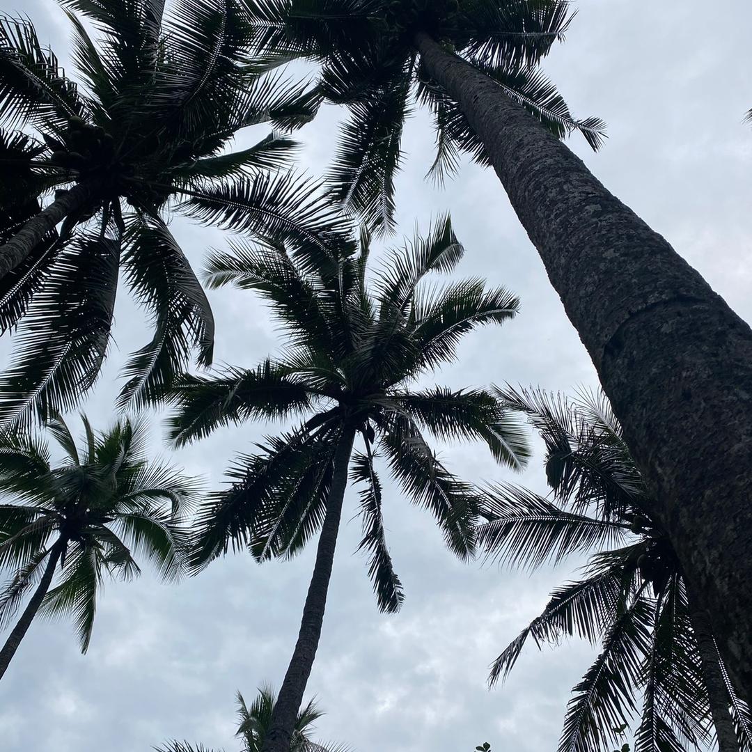 聚胜源（天津）钢铁有限公司