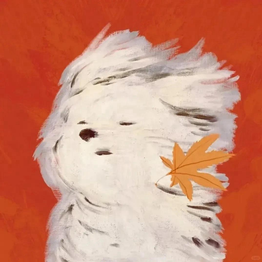 懶羊羊.