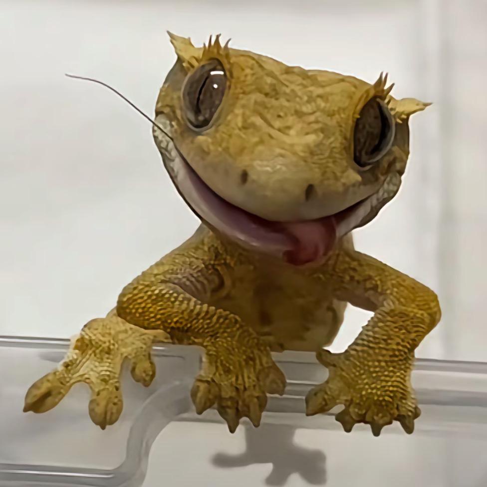 -^_^-