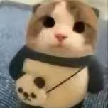 小六