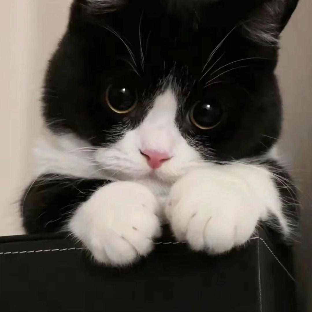 臭豆腐不要香菜