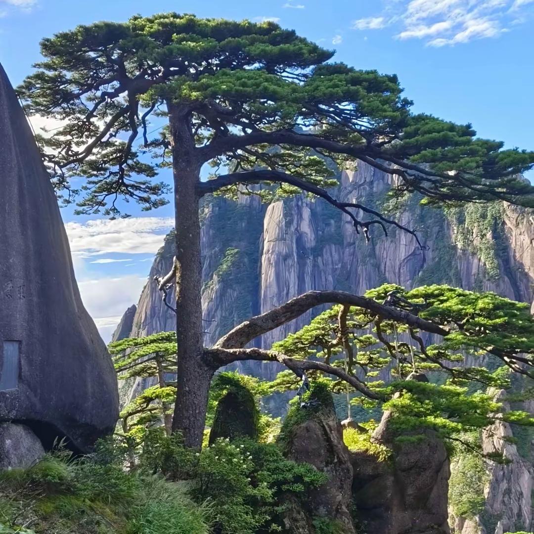 张ོ  (不锈钢  )