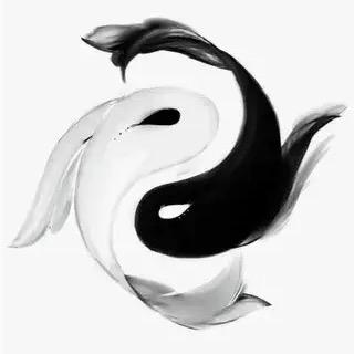 你我皆过客