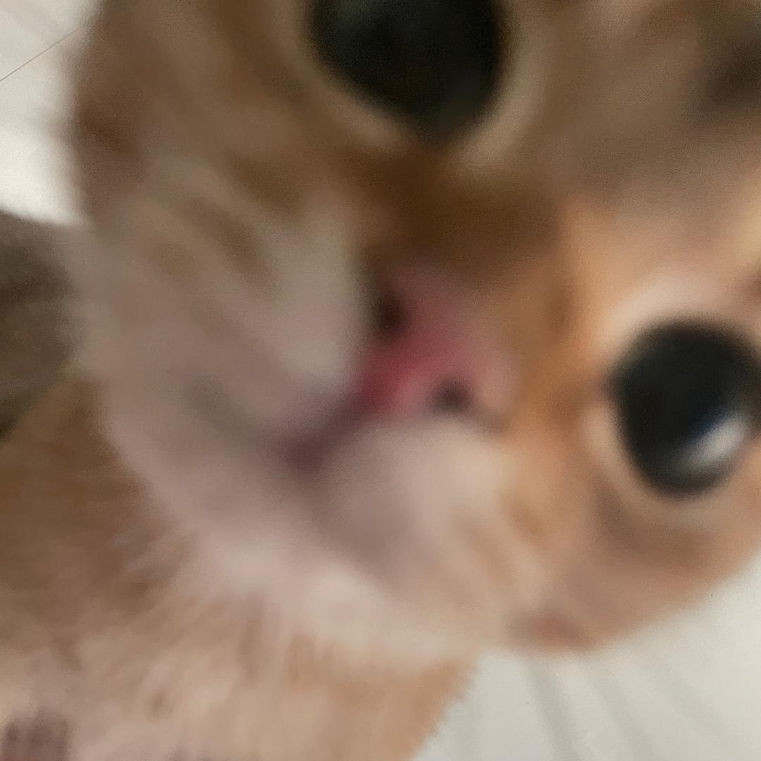 Jaxxx