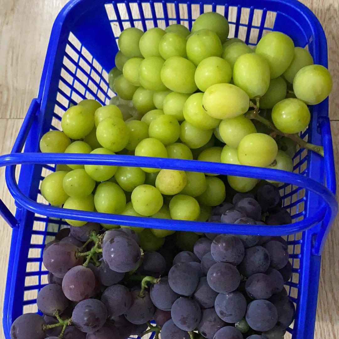 我有一个小梦想