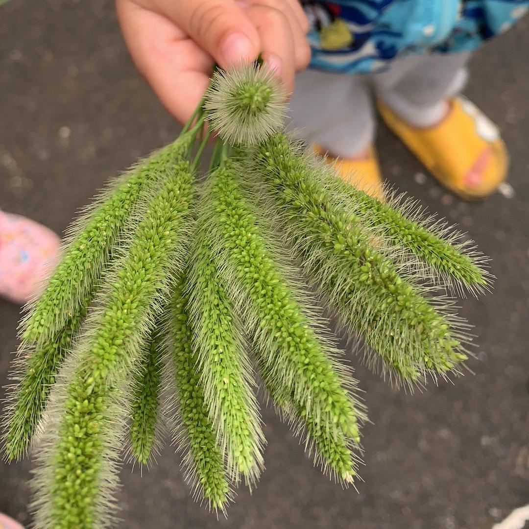 何菇凉故事会