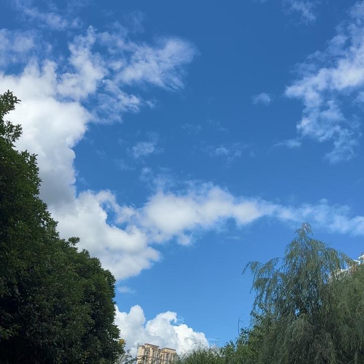 阳光🌅